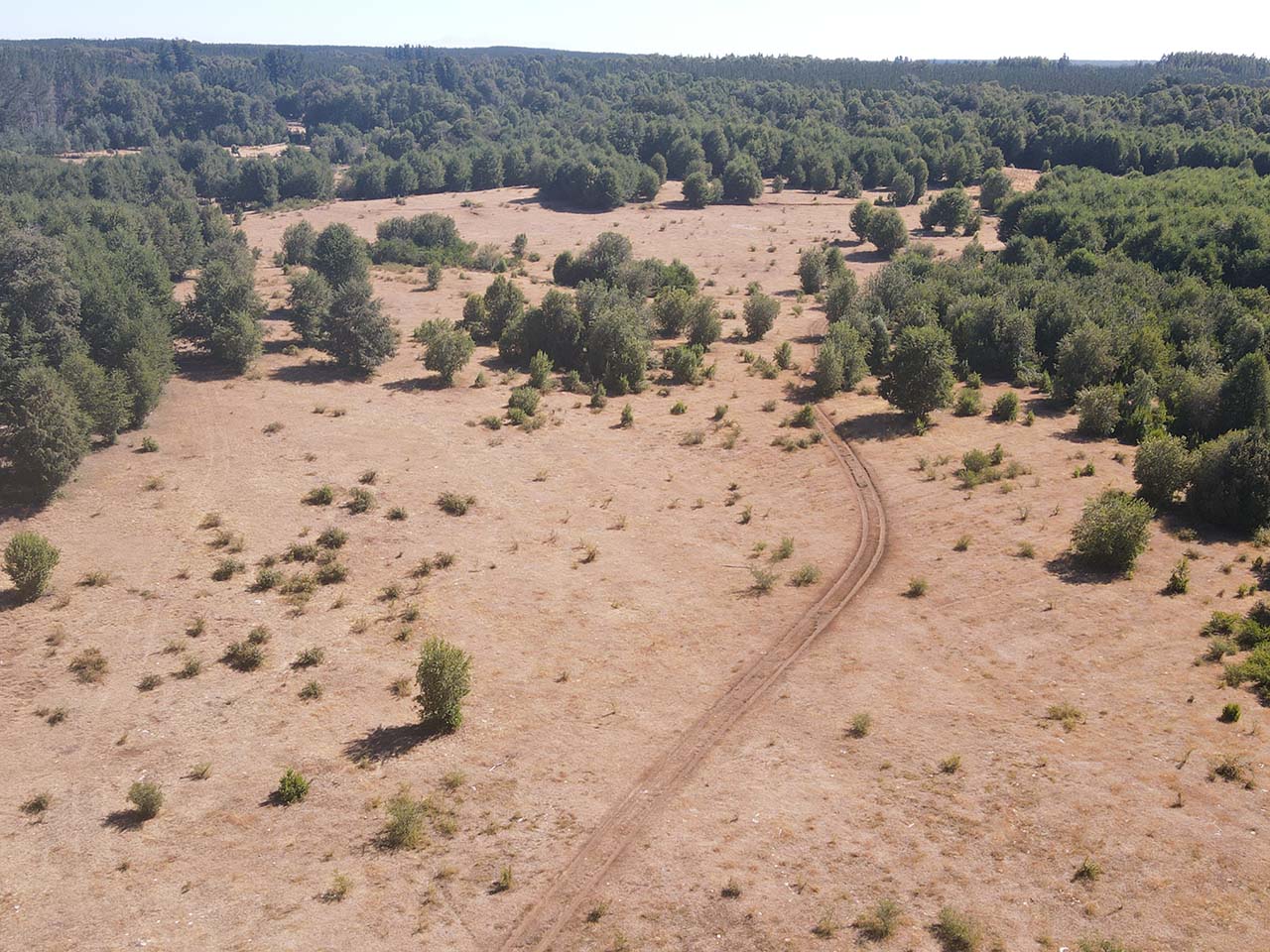 Parque Del Niblinto, Parcela 47 - Imagen 3