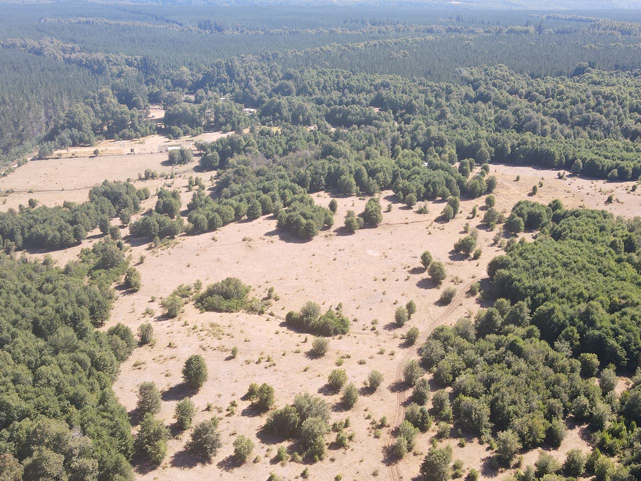 Parque Del Niblinto, Parcela 47 - Imagen 4