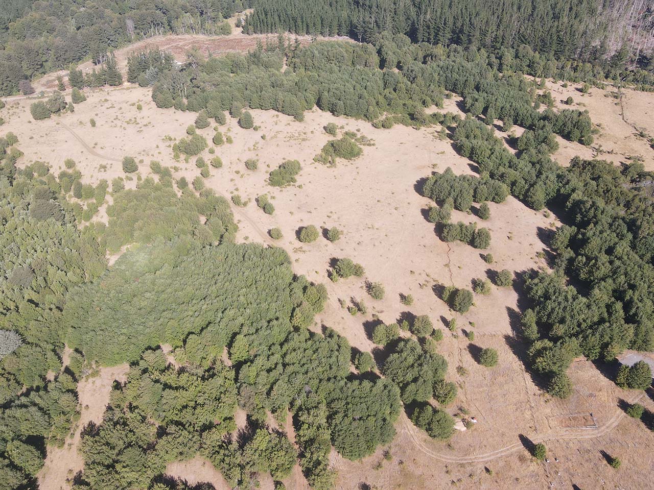 Parque Del Niblinto, Parcela 47 - Imagen 6