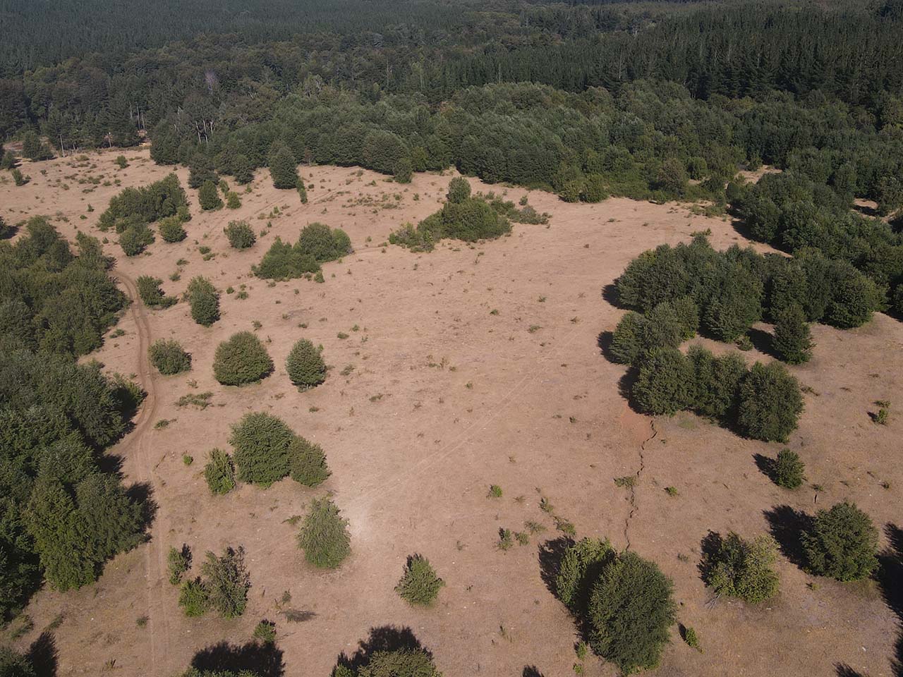 Parque Del Niblinto, Parcela 47 - Imagen 8