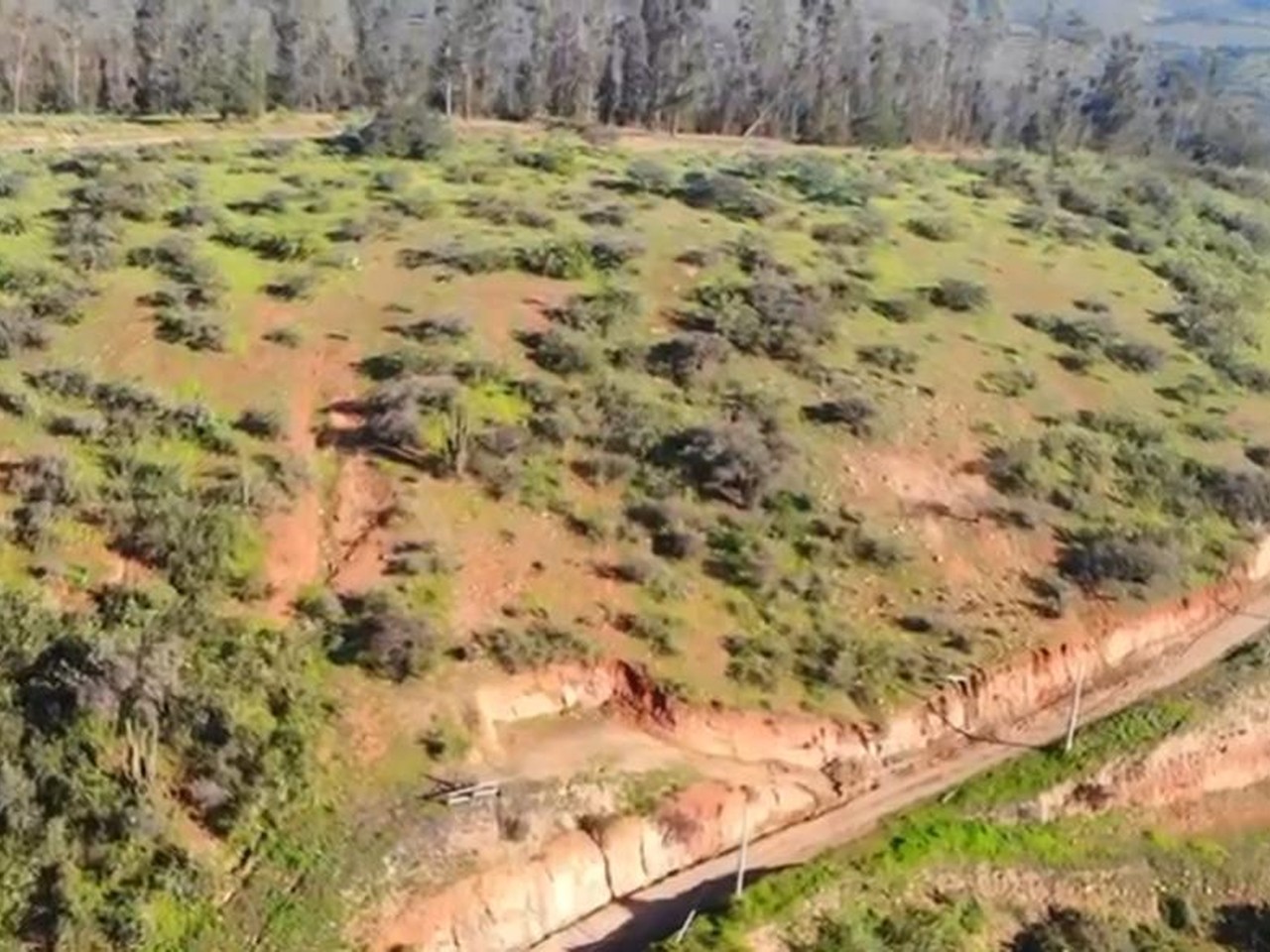 Parcela Condominio La Reserva de Puro Caballo, Parcela 133