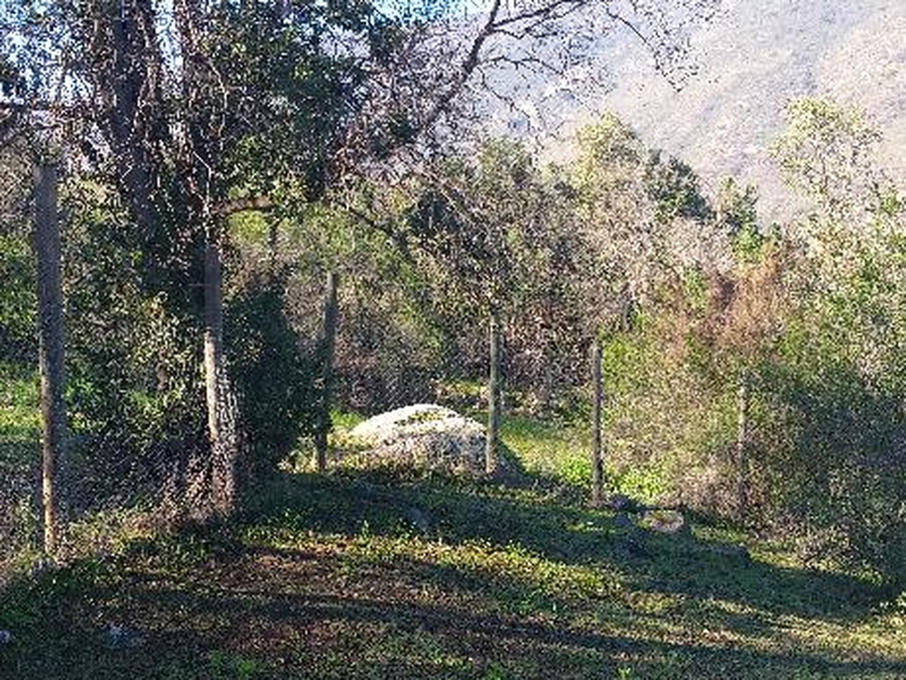 Camino Vecinal S/N, Sitio 3 - Imagen 5