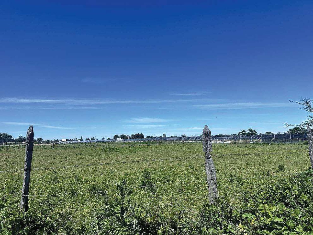 Fundo Santa Laura, Lote 3 - Imagen 3