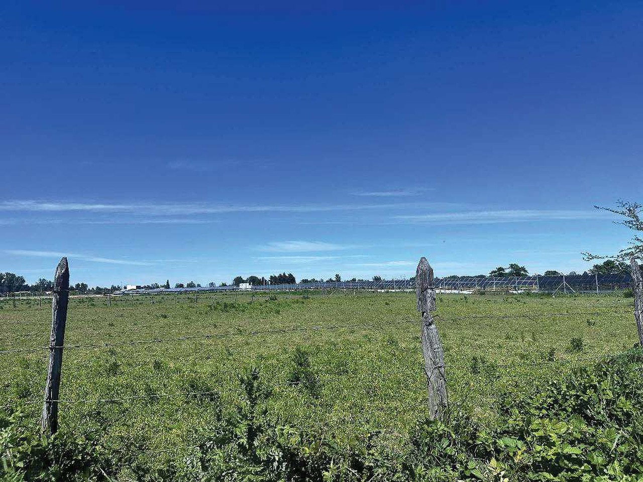 Fundo Santa Laura, Lote 3 - Imagen 3