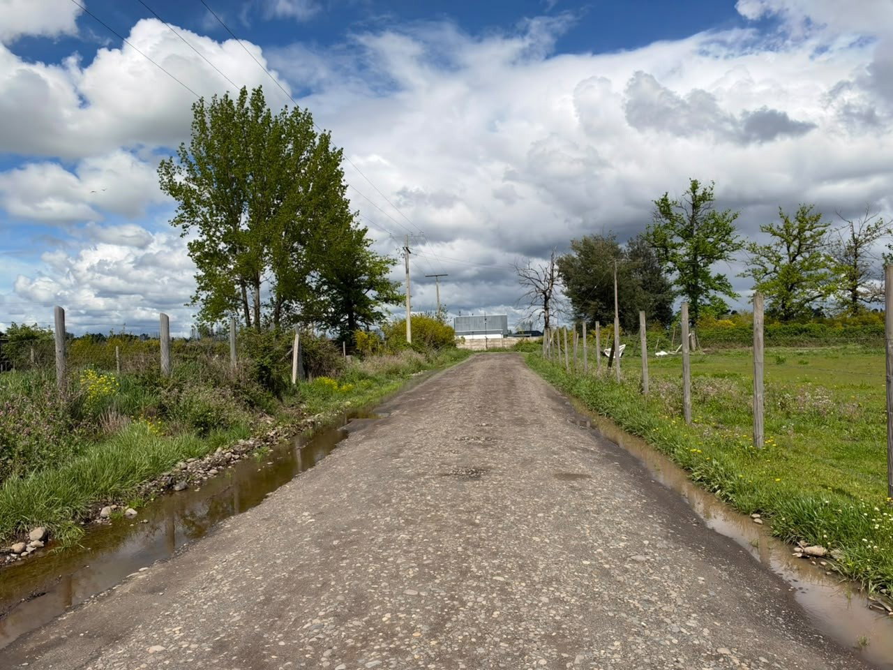 Fundo Santa Laura, Lote 3 - Imagen 4