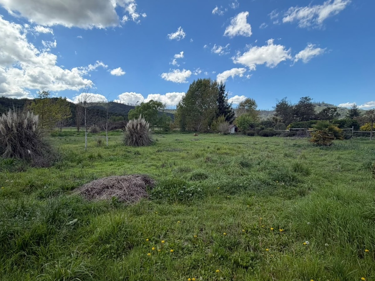 Lo Orozco, Lote 20. Valle de las Viñas - Imagen 20