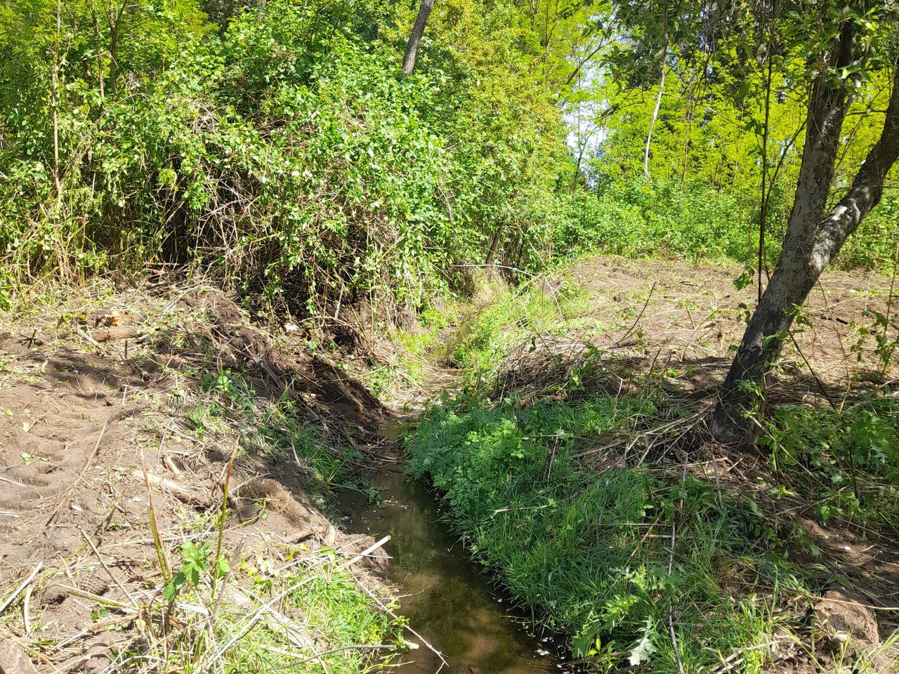 El Olivo, Lote C-3A, Zanjón Seco - Imagen 4