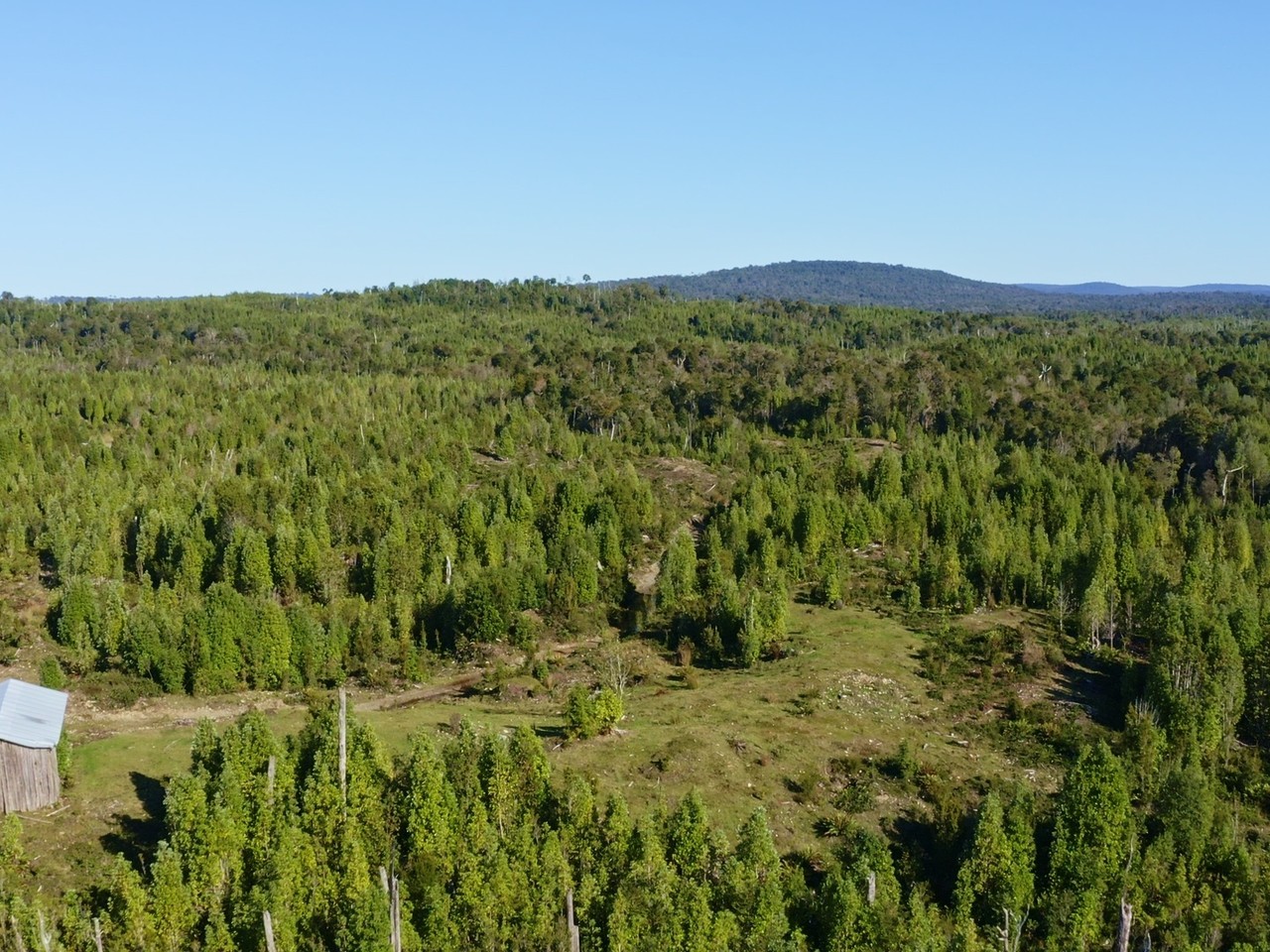 Coihuin 3, Hijuela 125, Lote 2, Molulco, Natri - Imagen 3