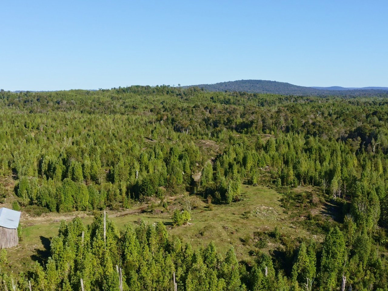 Coihuin 3, Hijuela 125, Lote 3, Molulco, Natri - Imagen 3