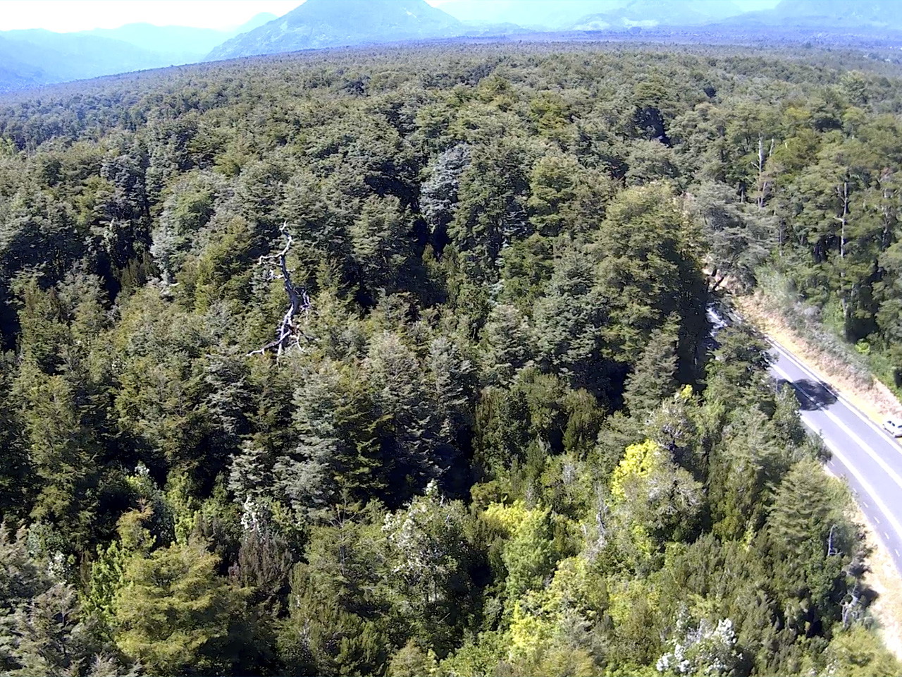 Puerto Oscuro, Lote B - Imagen 3