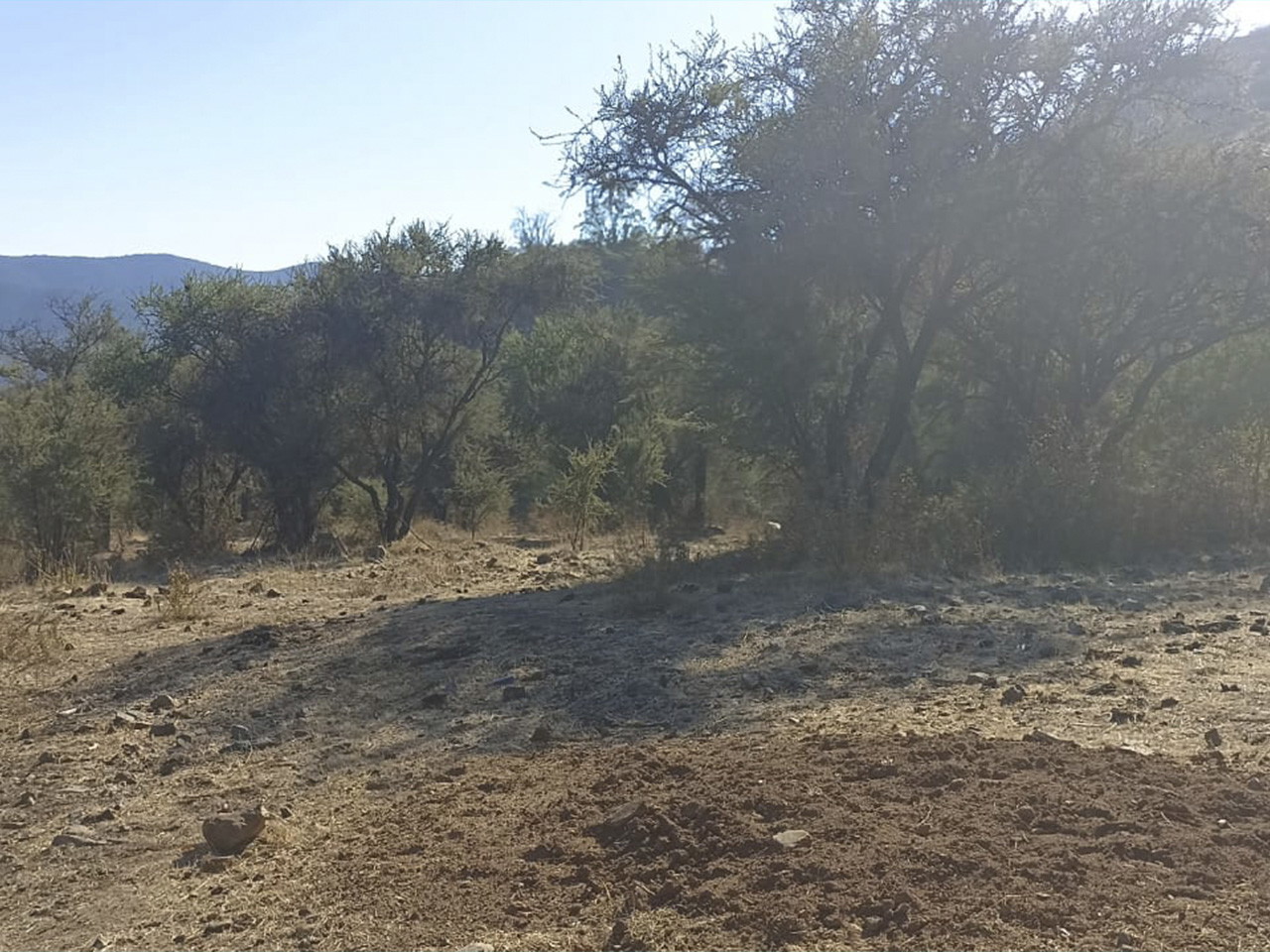 Cerros Culiprán, Parcela 67 - Imagen 1
