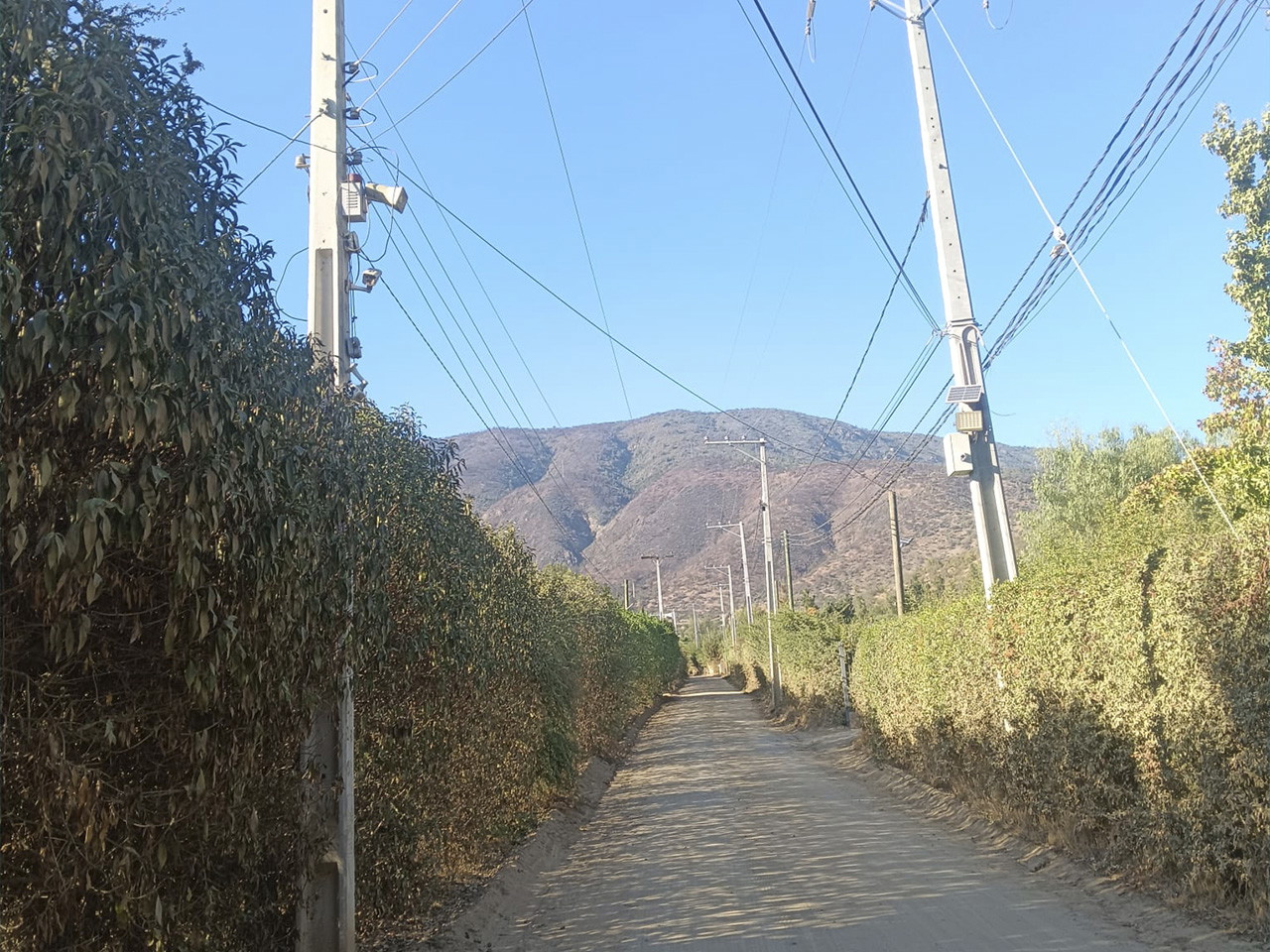 Cerros Culiprán, Parcela 67 - Imagen 4