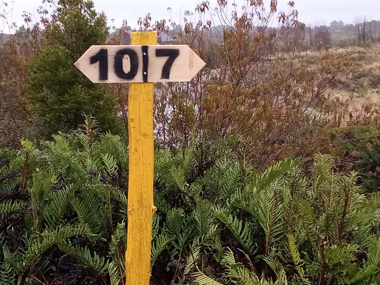 Pelluco Alto, Parcela 7 - Imagen 2