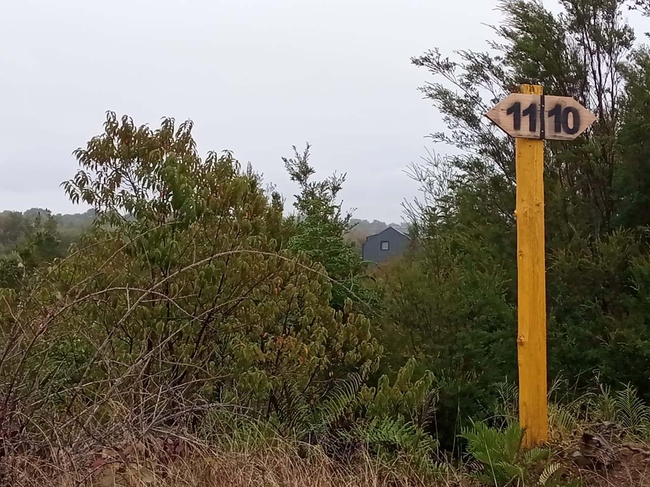 Pelluco Alto, Parcela 10 - Imagen 2