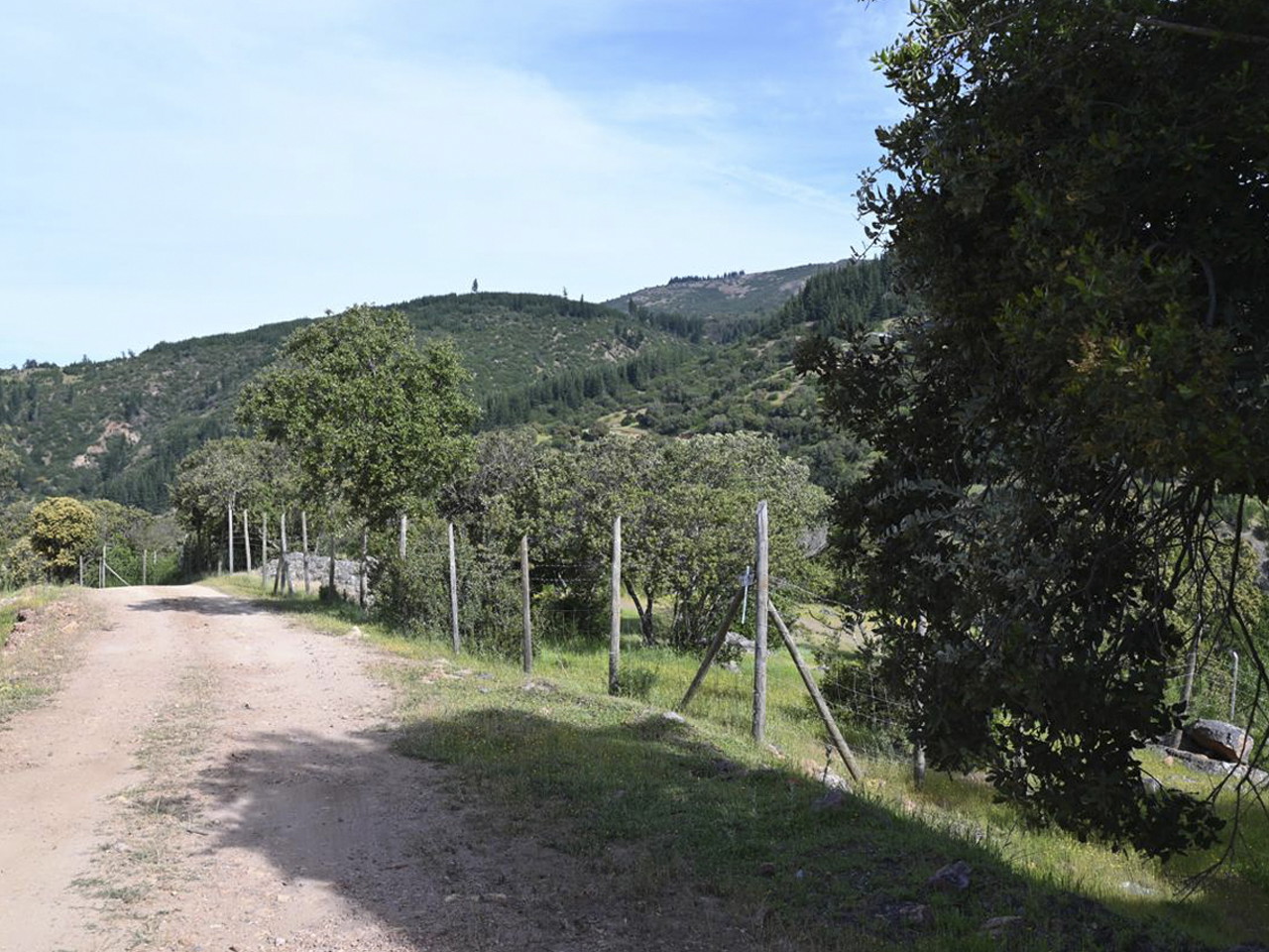 Hacienda Panamá, Parcela 30 - 170 - Imagen 4