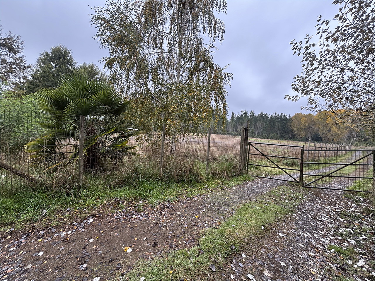 Camino Fundo Niágara, Lote A - Imagen 1