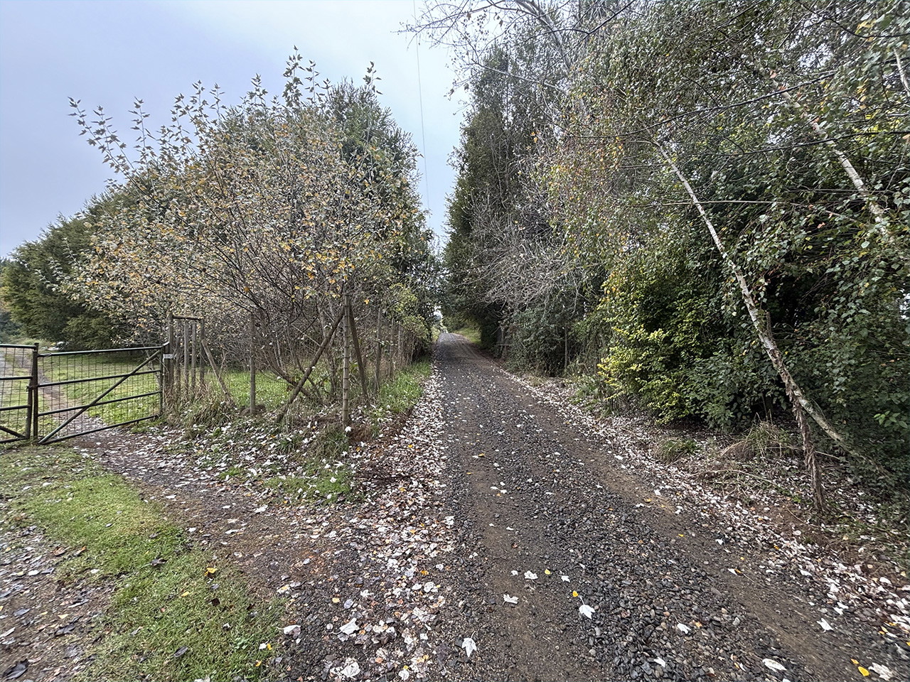 Camino Fundo Niágara, Lote A - Imagen 4