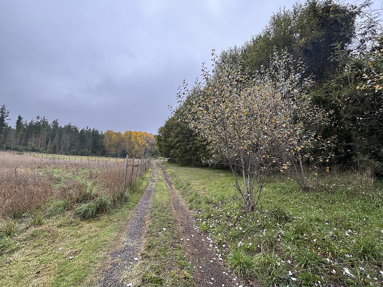Camino Fundo Niágara, Lote A - Imagen 5