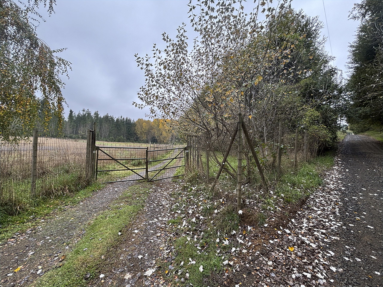 Camino Fundo Niágara, Lote A - Imagen 2