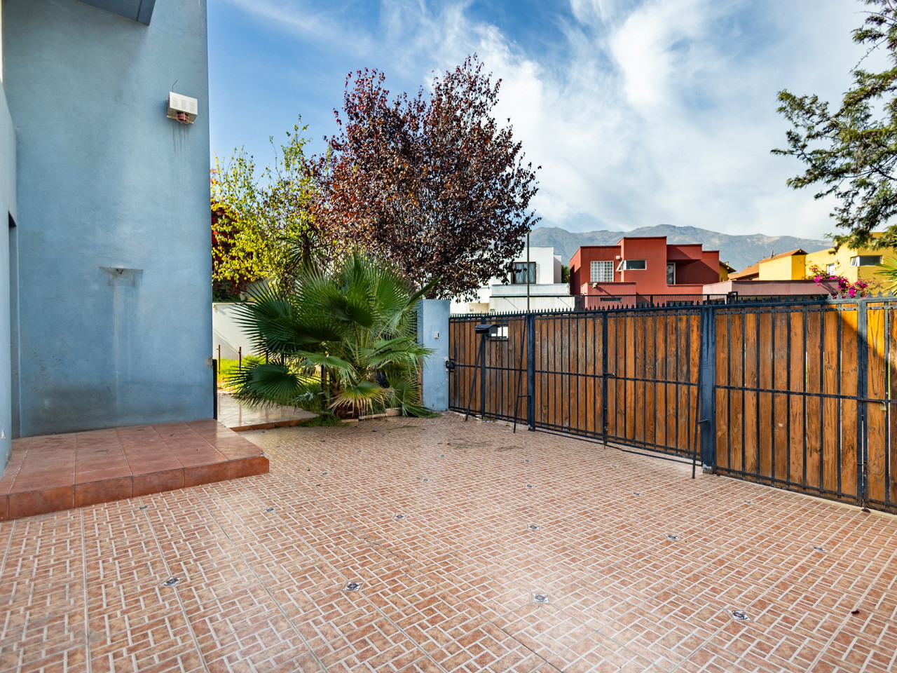 Pinot 3141 - Imagen 3