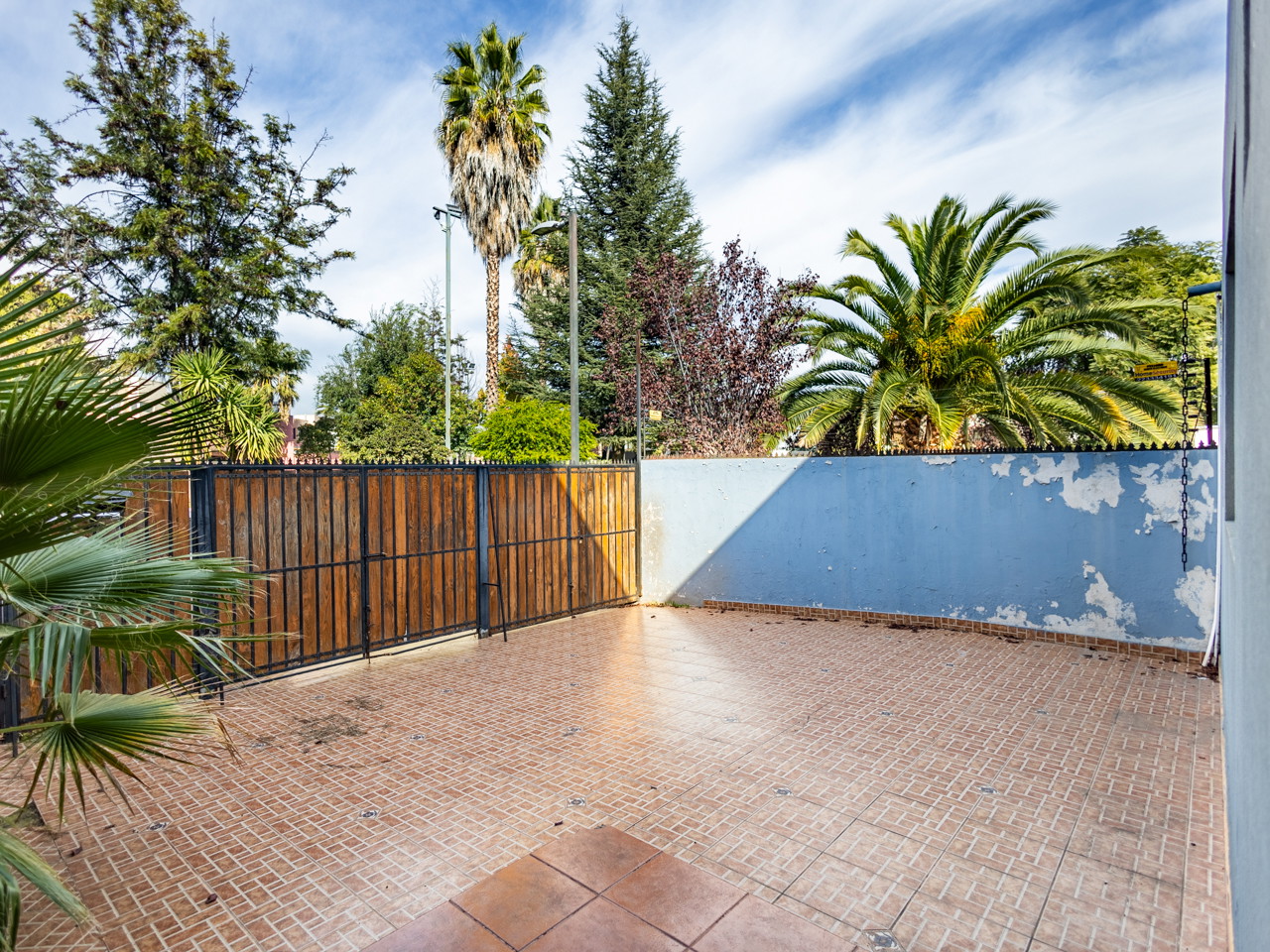 Pinot 3141 - Imagen 4