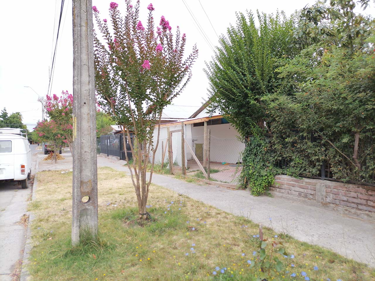 Miraflores 437 - Imagen 6