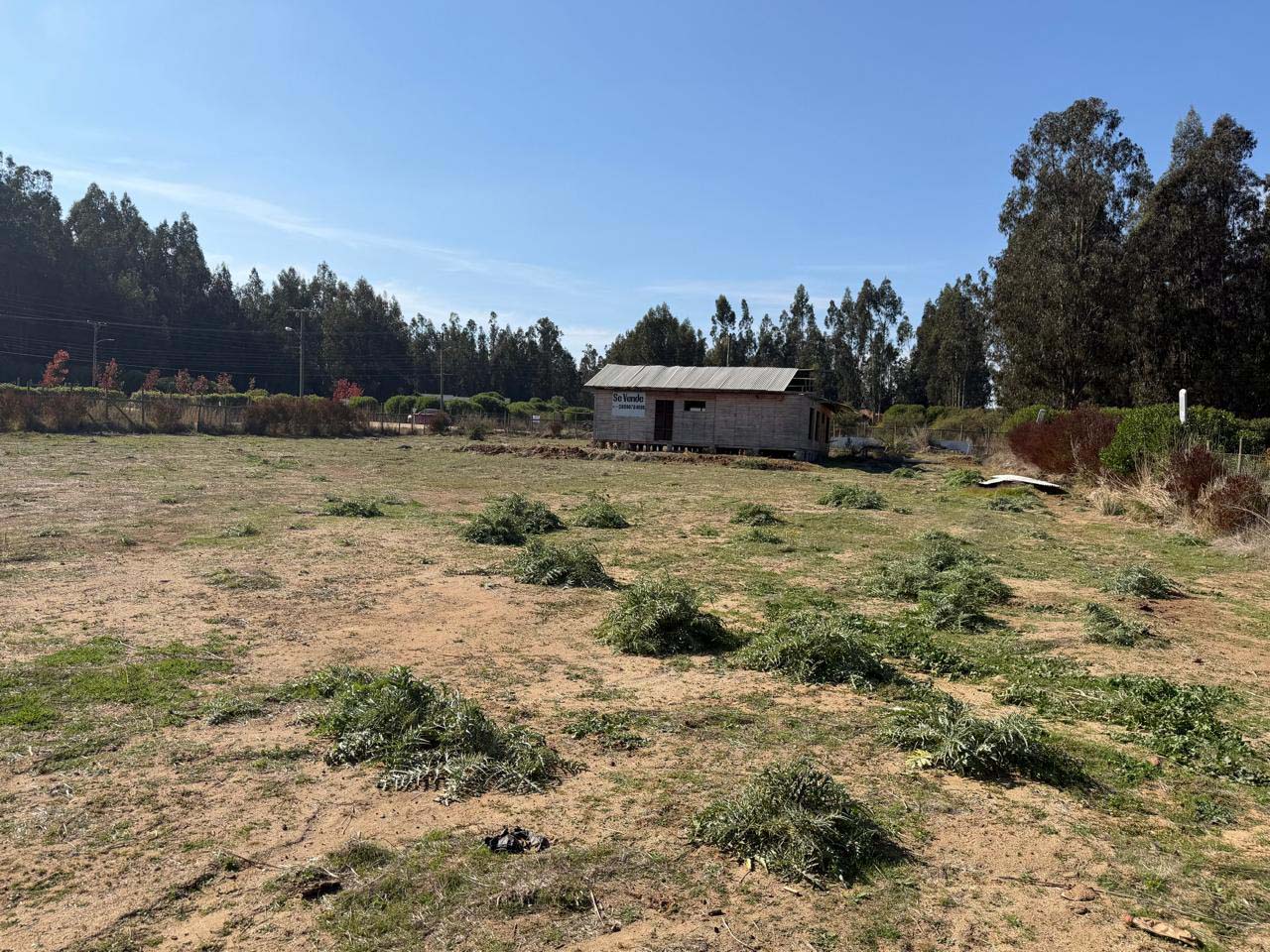 Hijuela 3 Lote B, Parcela A-40 - Imagen 4