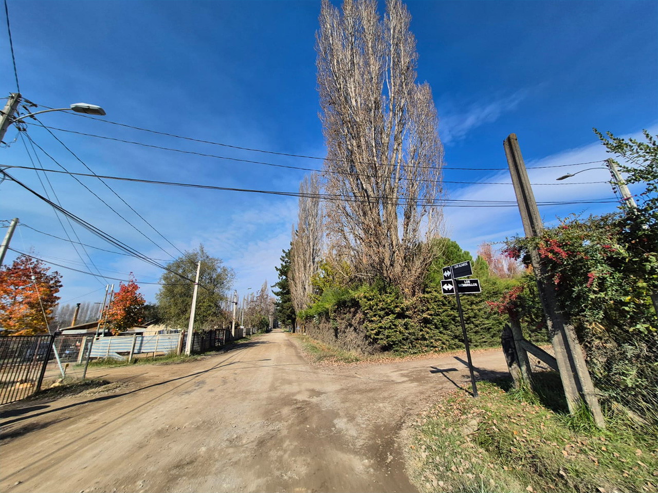 Los Canelos 1730, Lote 3 - Imagen 8