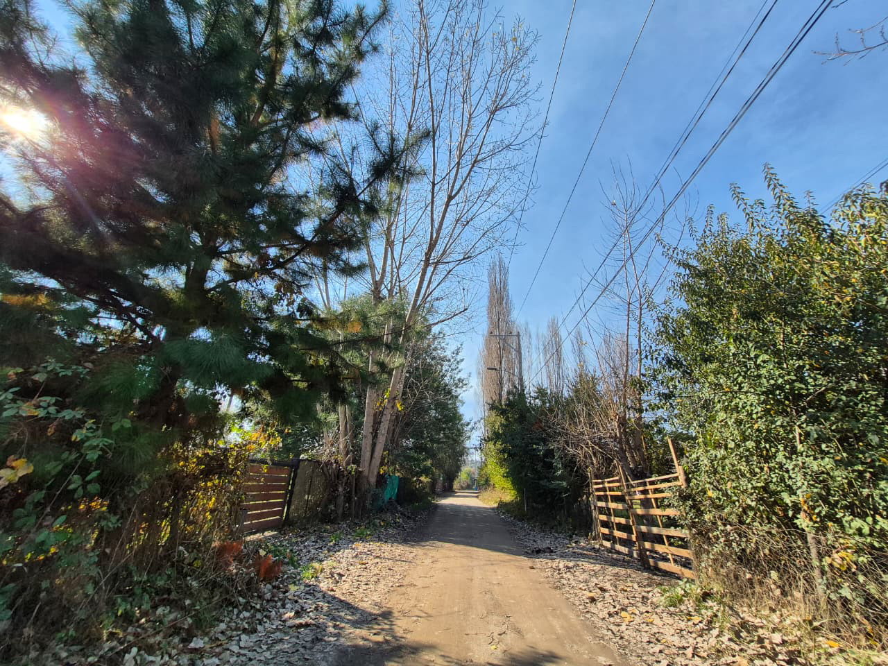 Los Canelos 1730, Lote 3 - Imagen 2