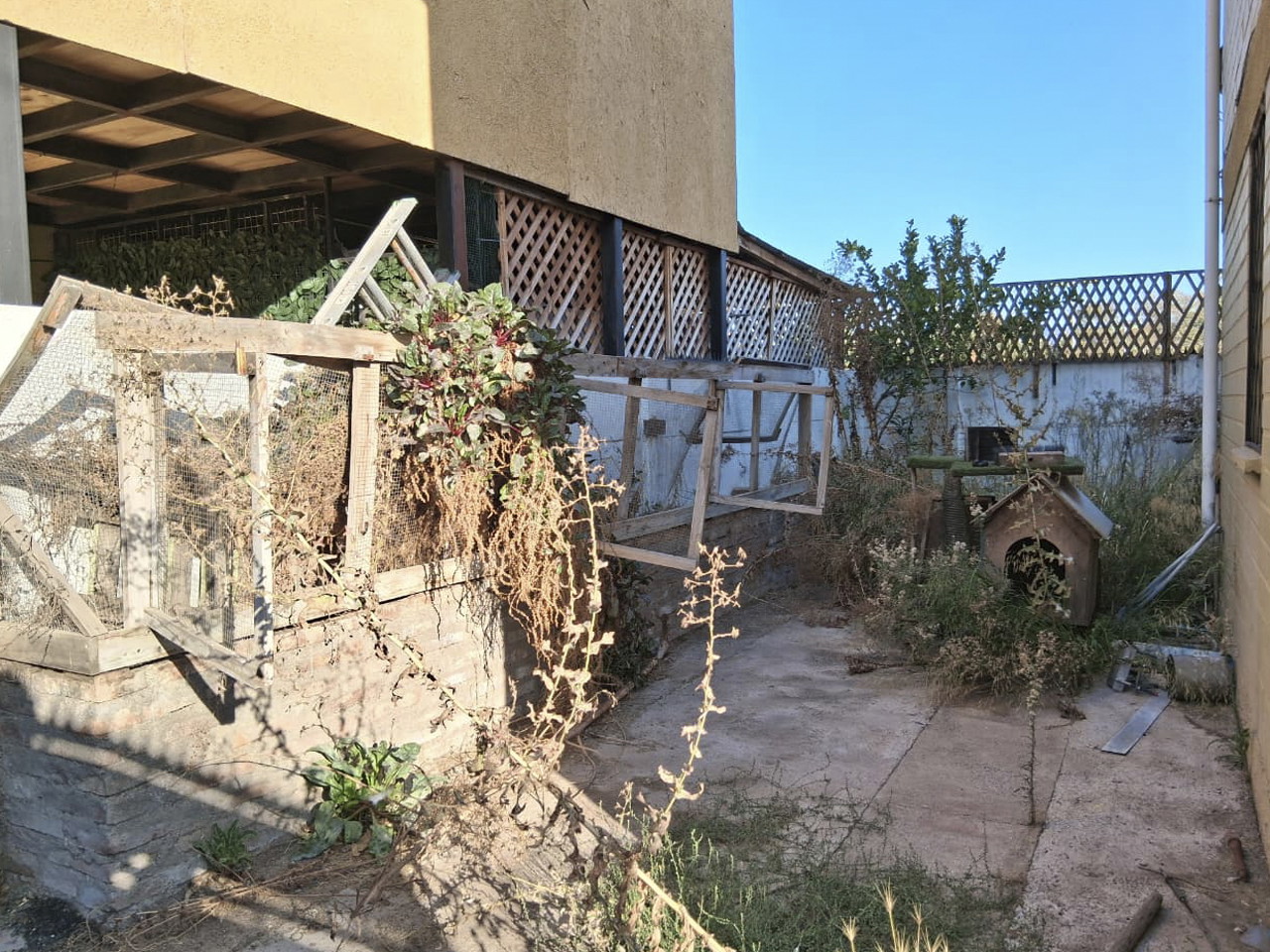 Pasaje Juan Pérez 799 - Imagen 5
