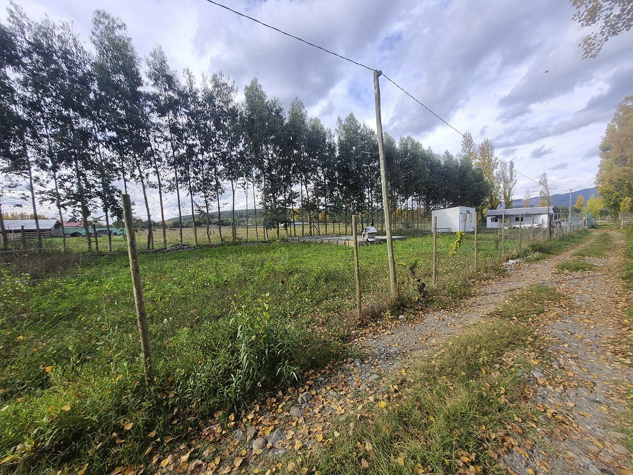 Mesamávida, Sitio 4 - Imagen 10