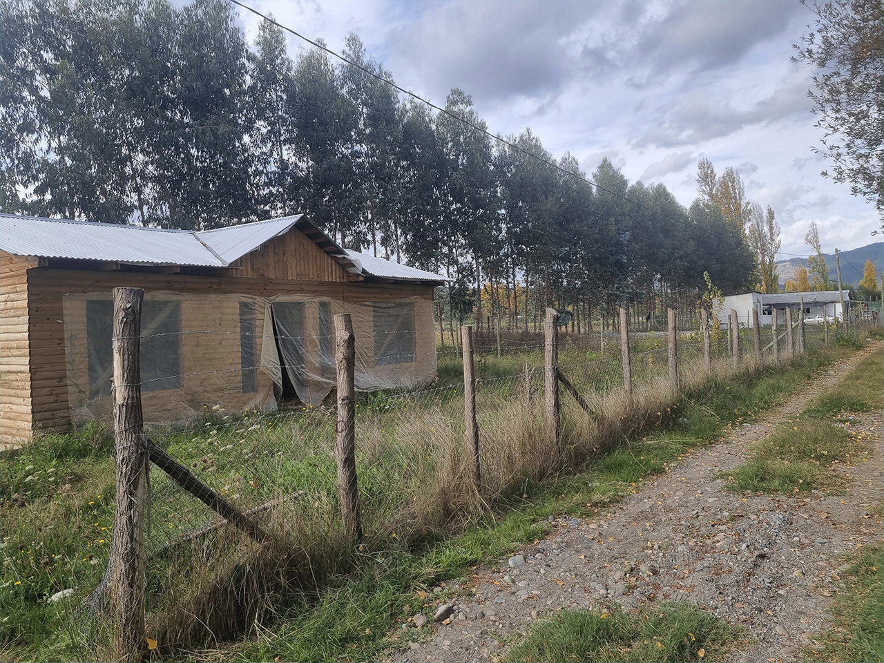 Mesamávida, Sitio 4 - Imagen 2