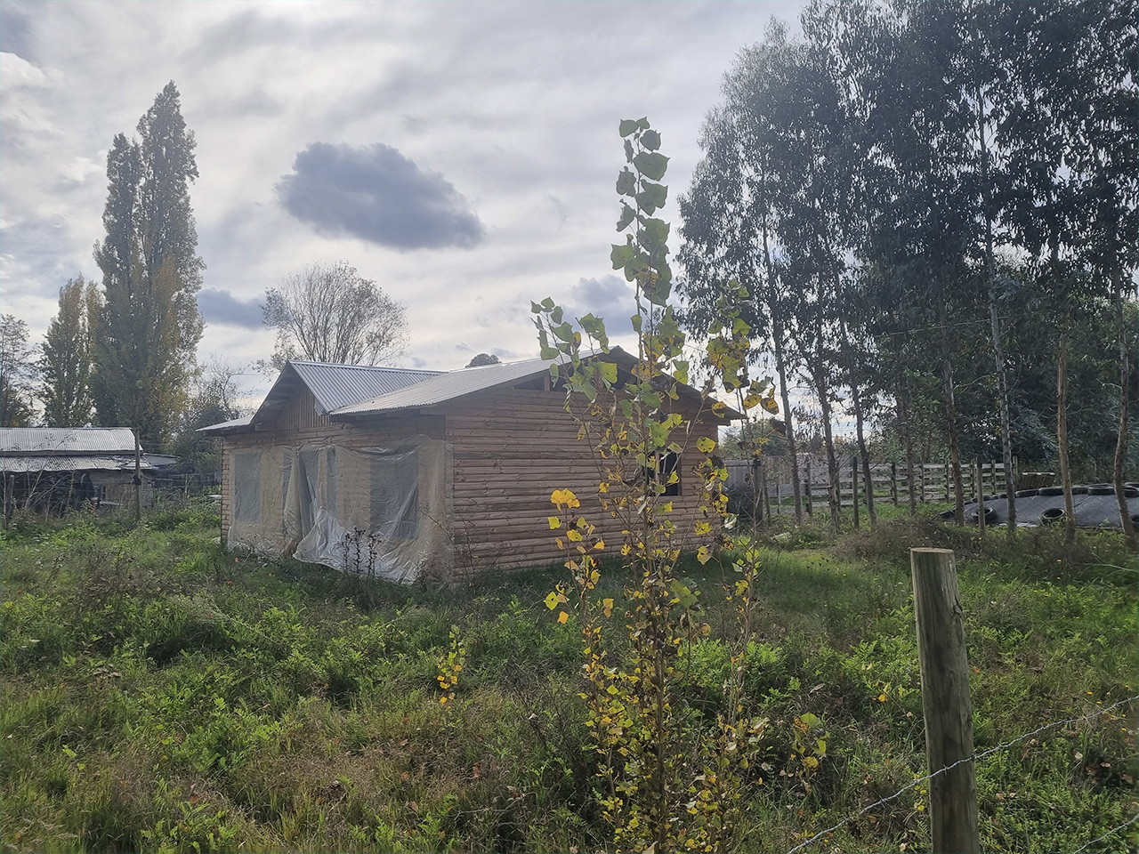 Mesamávida, Sitio 4 - Imagen 3