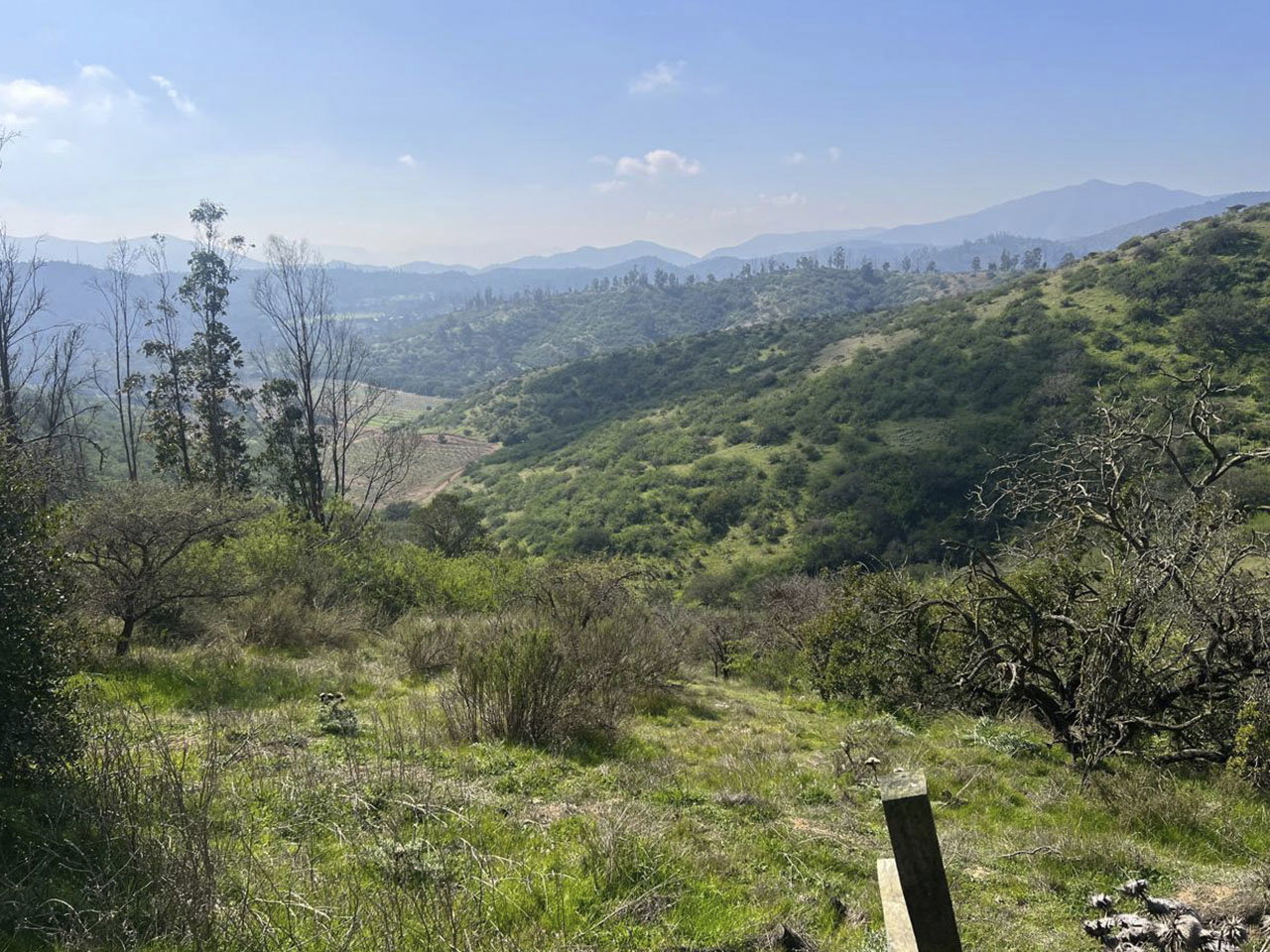 Condominio La Reserva de Puro Caballo, Parcela 122 - Imagen 1