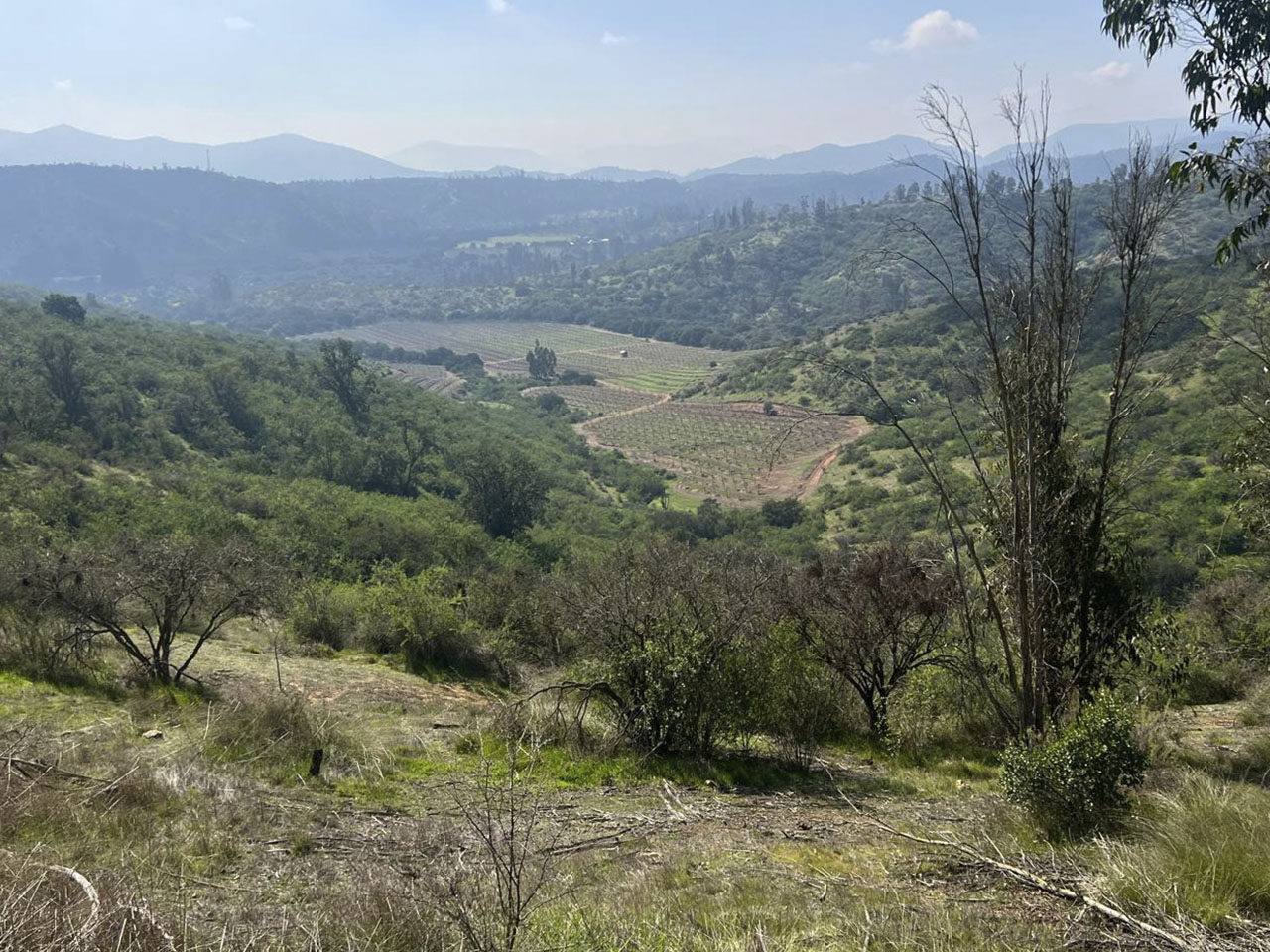 Condominio La Reserva de Puro Caballo, Parcela 122 - Imagen 2