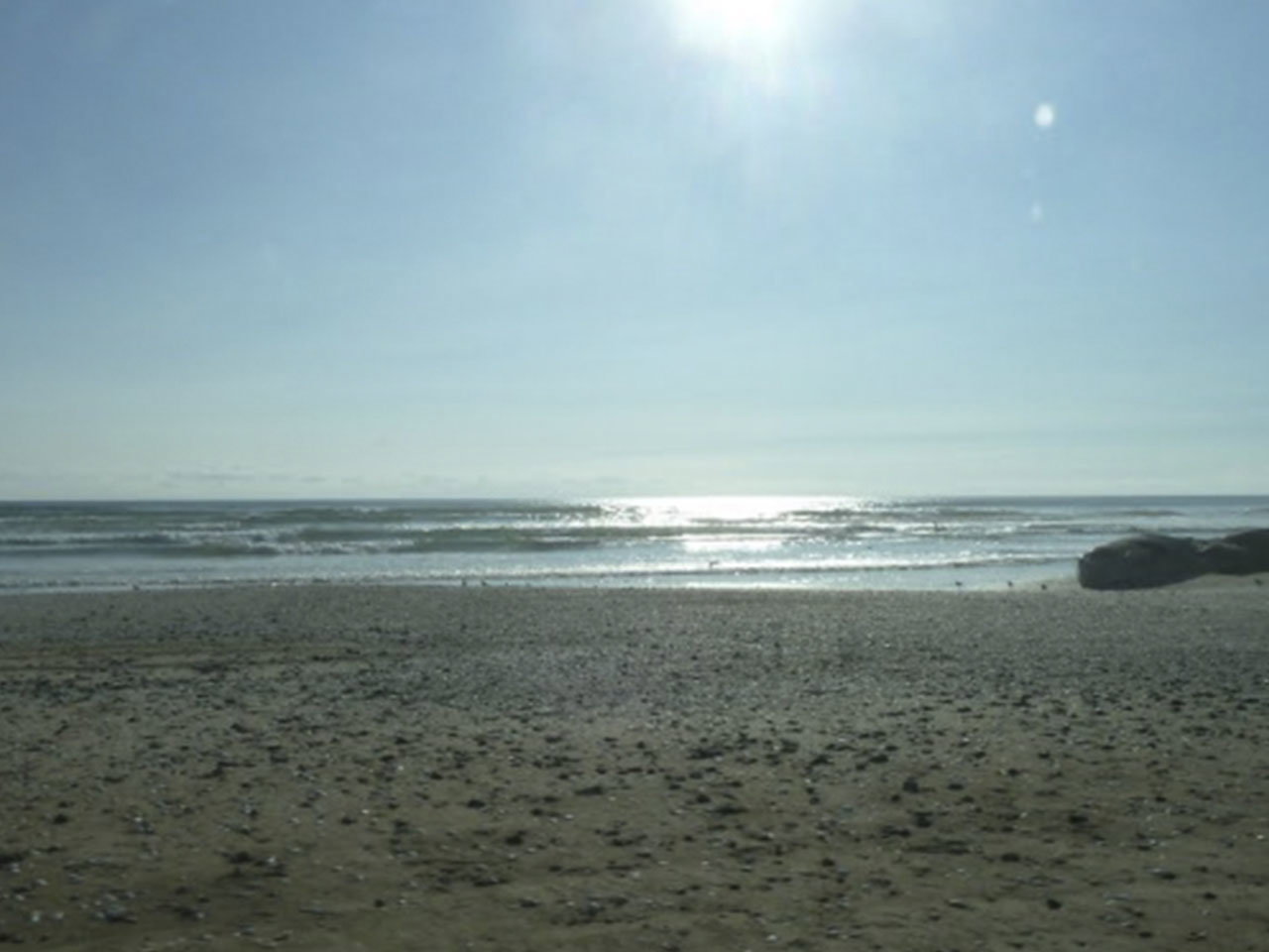 Fundo California, Parcela 31 - Imagen 3