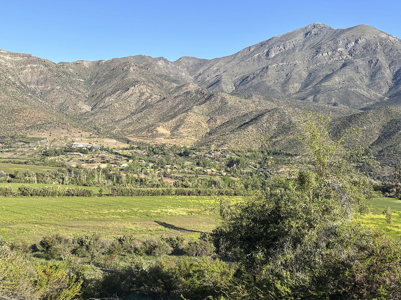 Los Nogales, Parcela 9 - Imagen 2
