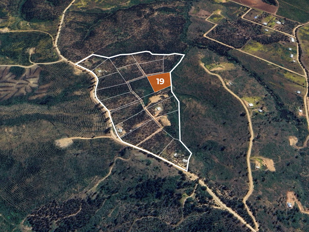 Adjudicada: Parcela Panilongo, Parcela 19