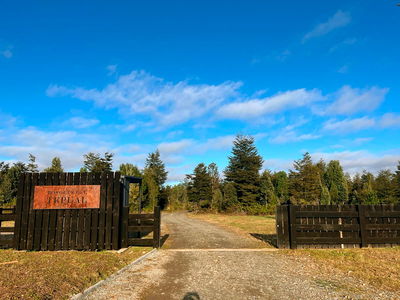 Bosques del Tepual, Parcela 40