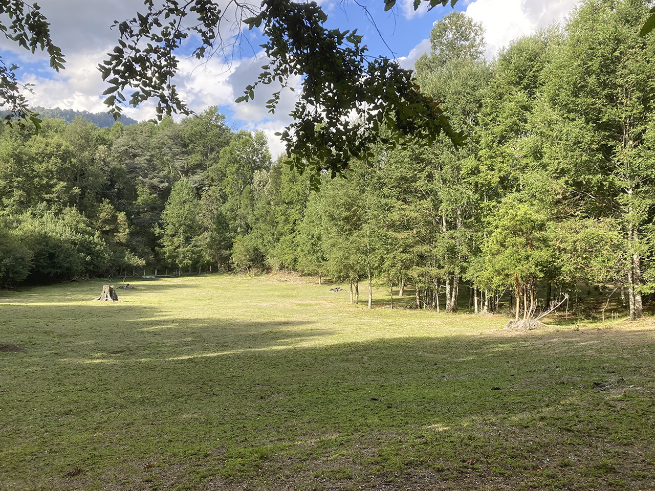 Camino Pino Huacho Km 8.5