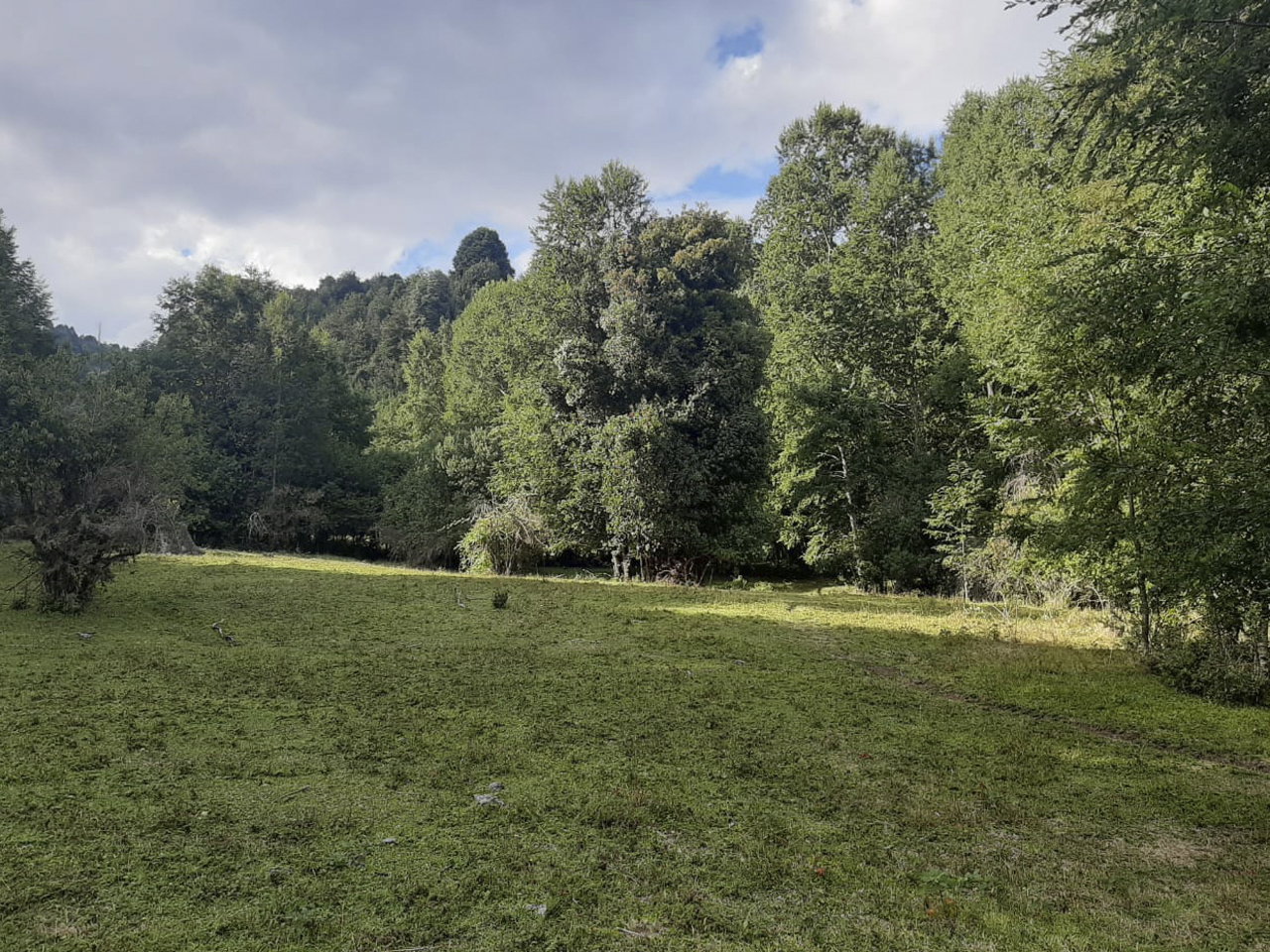 Camino Pino Huacho Km 8.5 - Imagen 4