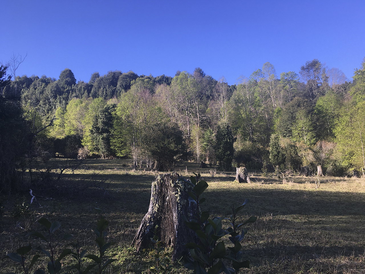 Camino Pino Huacho Km 8.5 - Imagen 6