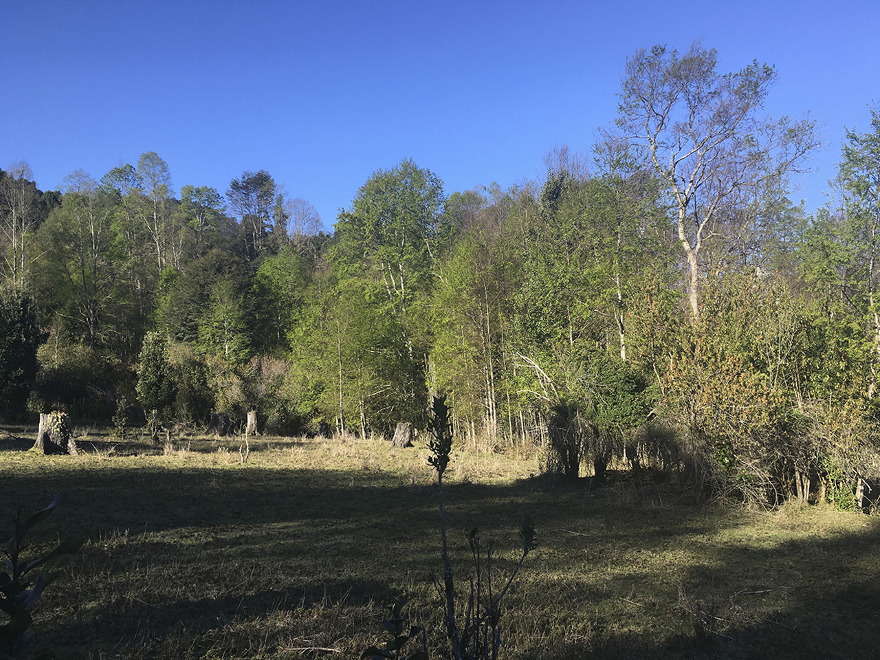 Camino Pino Huacho Km 8.5 - Imagen 7
