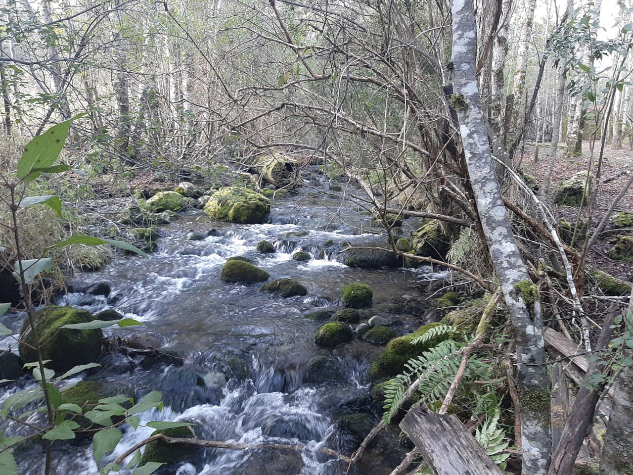 Camino Pino Huacho Km 8.5 - Imagen 9