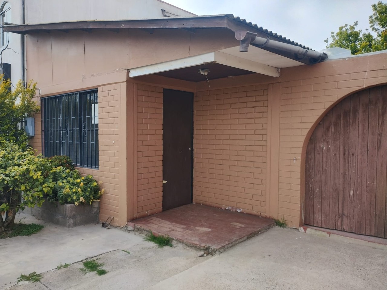 Casa Los Tulipanes 50