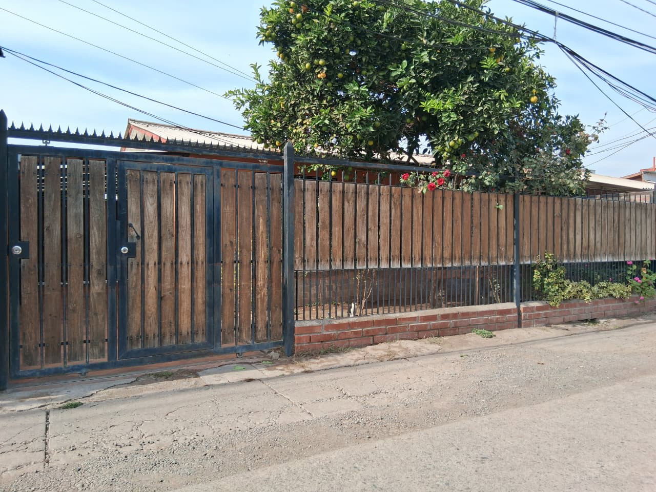 Anay 742 - Imagen 1