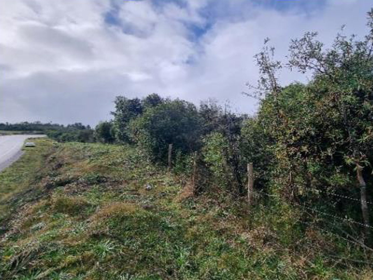 La Esperanza, Lote 2 - Imagen 4