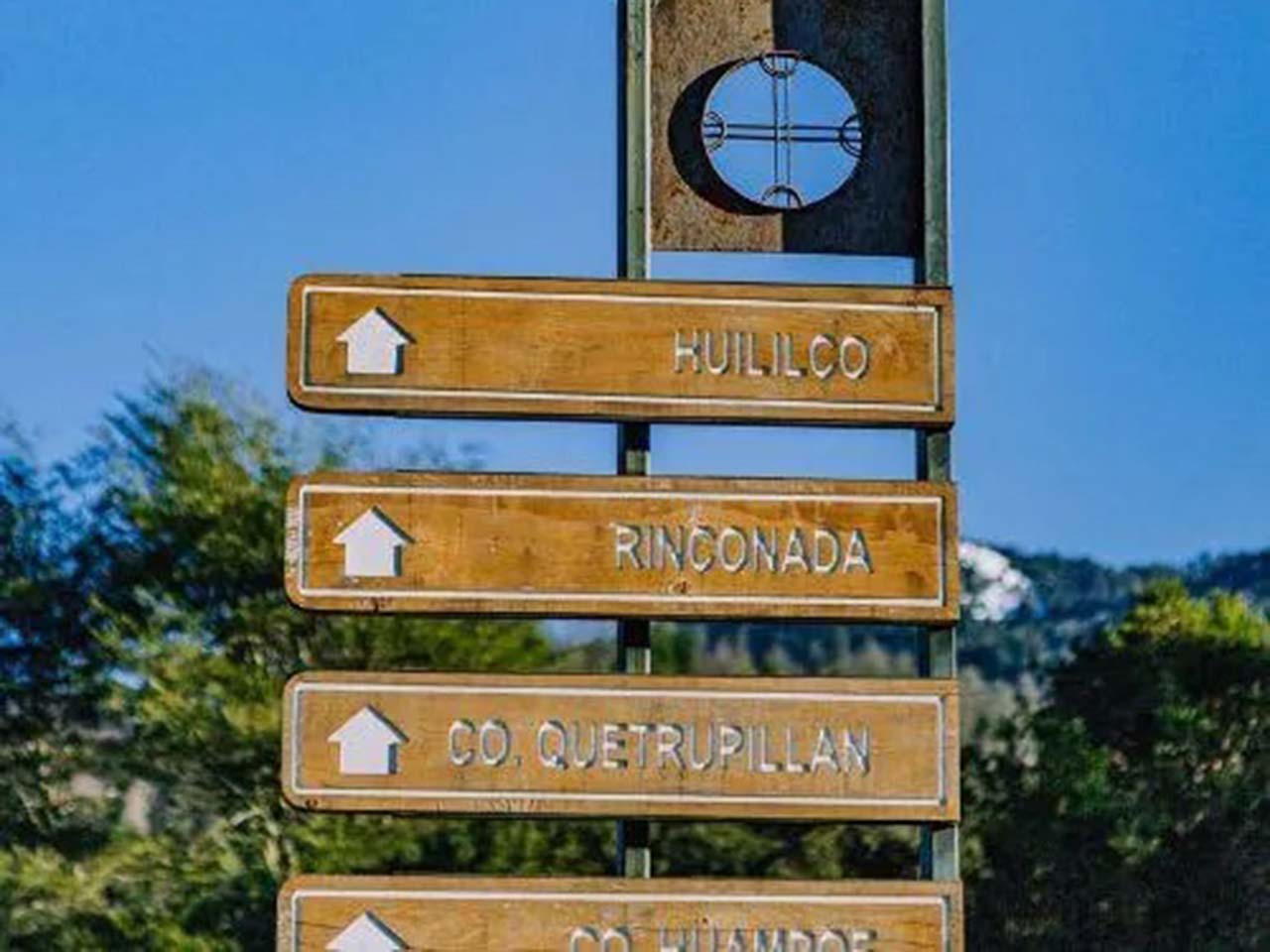 Camino Los Coigues Parcela 50 - Imagen 12