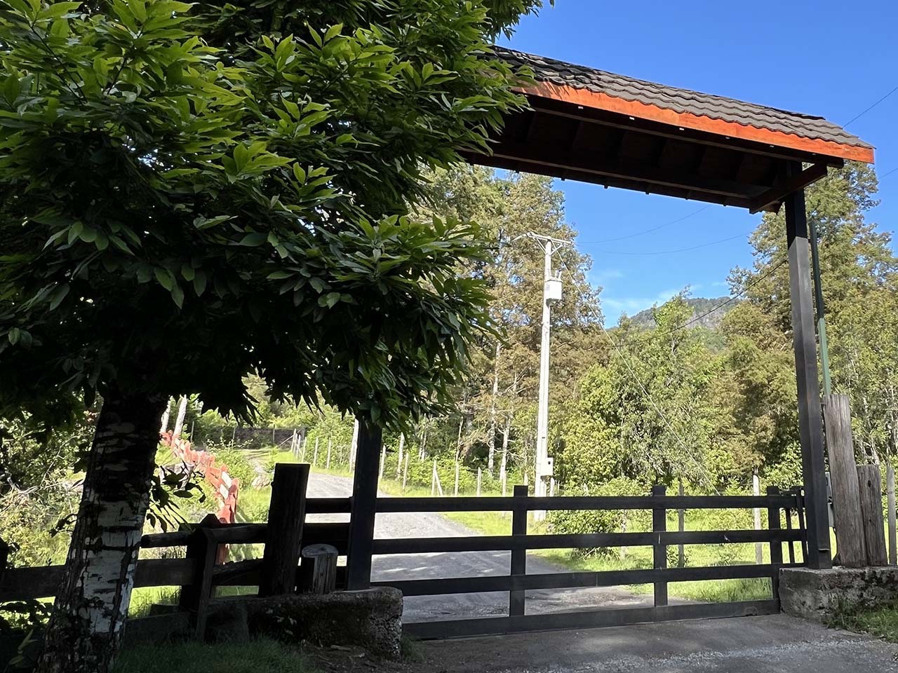 Camino Los Coigues Parcela 50 - Imagen 1
