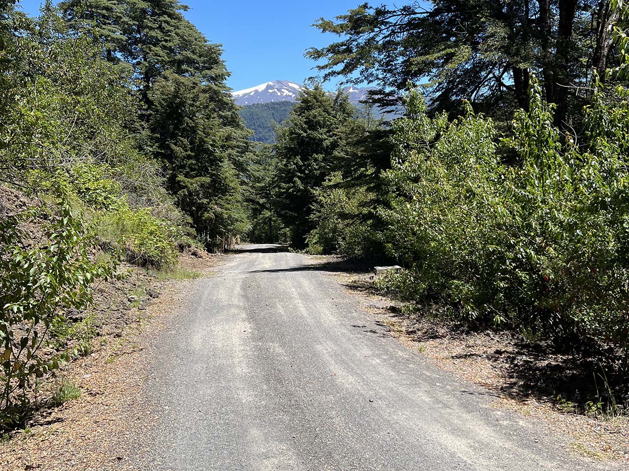 Camino Los Coigues Parcela 50 - Imagen 5